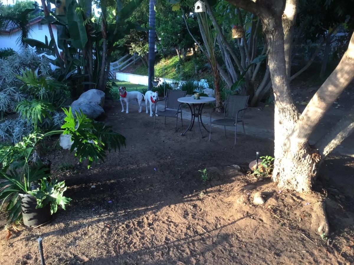 Beautiful New Detached Casita Nestled In Scenic Southern Ca Foothills! Fallbrook Exterior foto